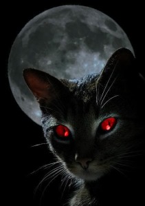 black-cat-moon1